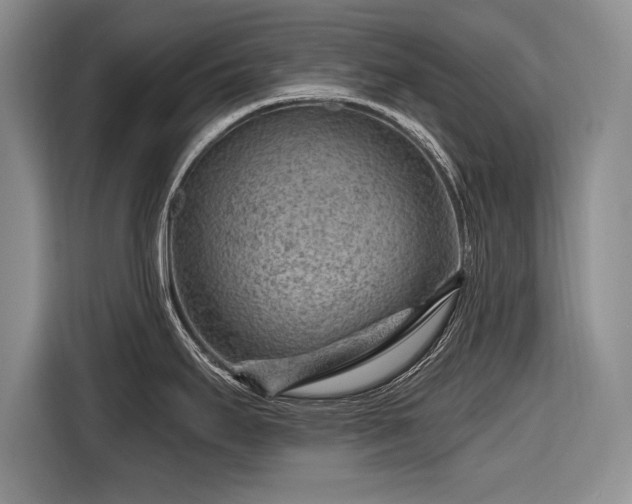 X0000116671295200912211556