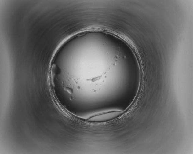 X0000116671296200912211556