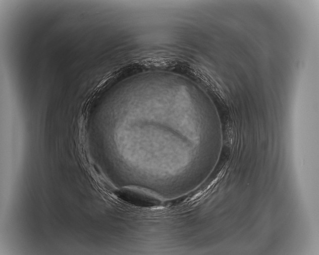 X0000116671297200912211555