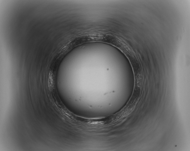 X0000116671298200912211555