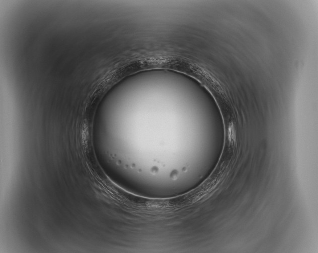 X0000116671299200912211555