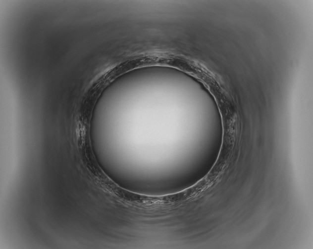 X0000116671302200912211555