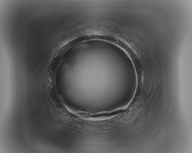 X0000116671303200912211555