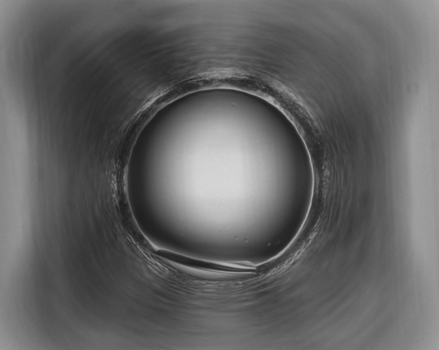 X0000116671305200912211556