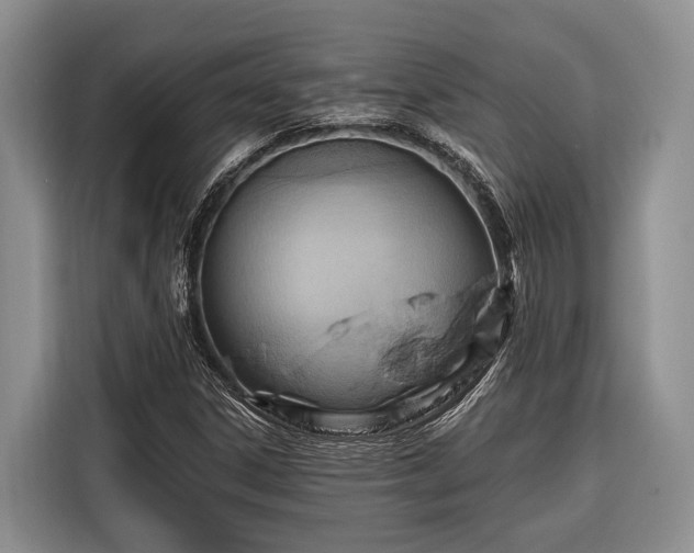 X0000116671306200912211556