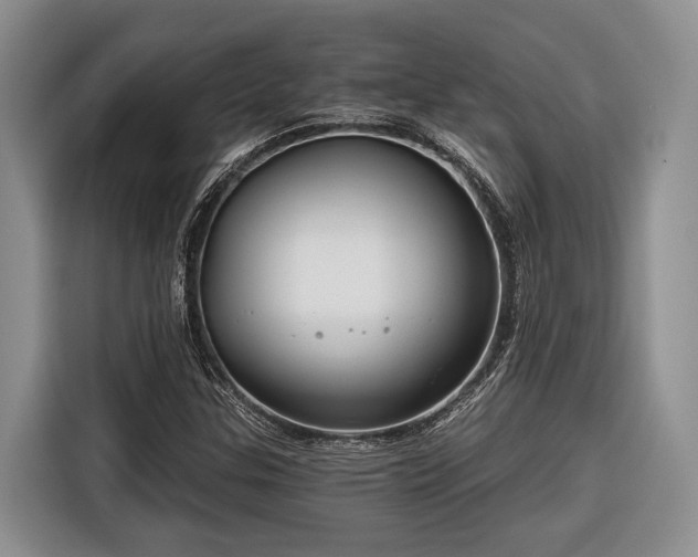 X0000116671307200912211556