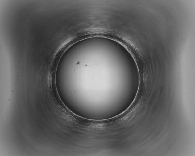 X0000116671309200912211556