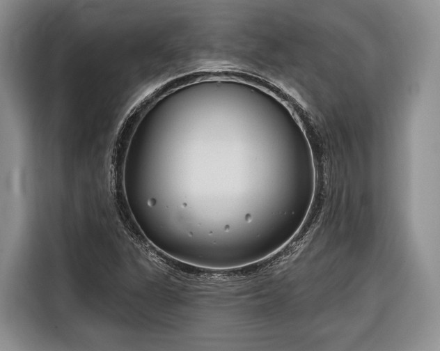 X0000116671311200912211556