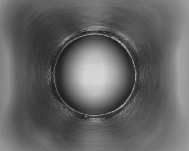 X0000116671313200912211556