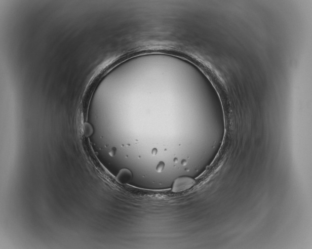 X0000116671317200912211556