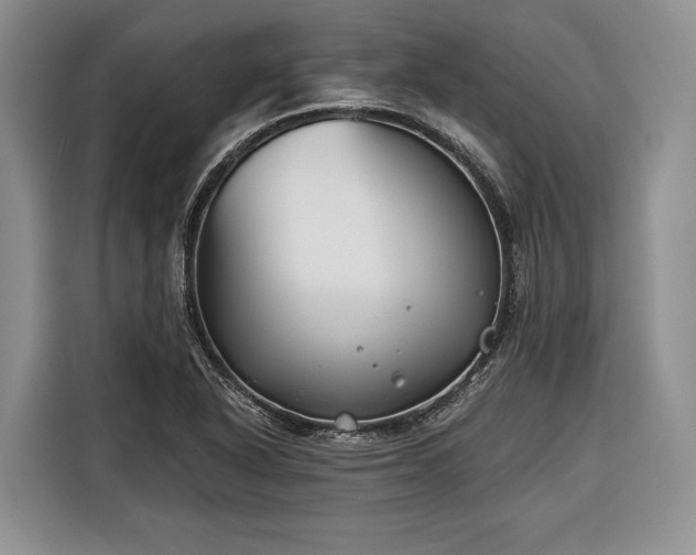 X0000116671318200912211556