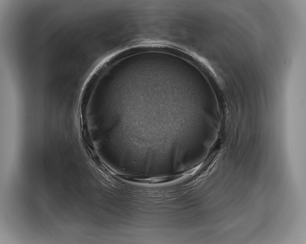 X0000116671319200912211556