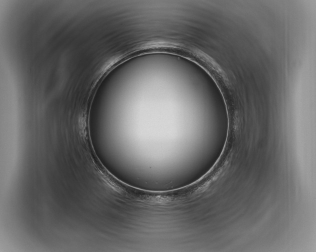 X0000116671321200912211556