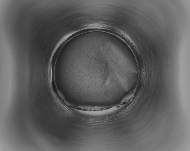 X0000116671323200912211556