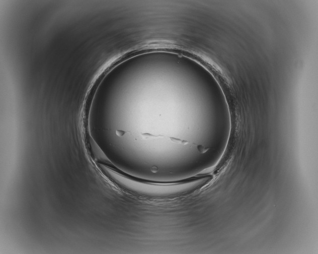 X0000116671325200912211556