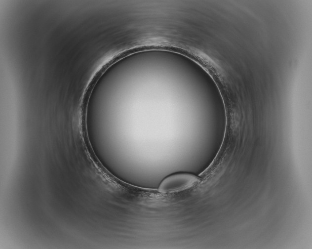 X0000116671326200912211556