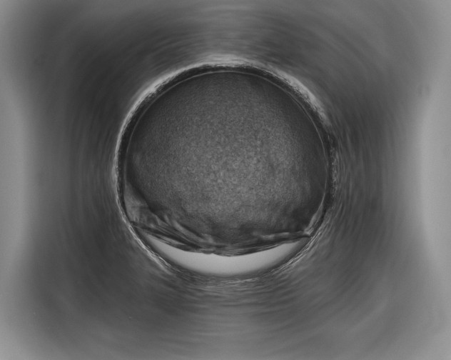 X0000116671327200912211556