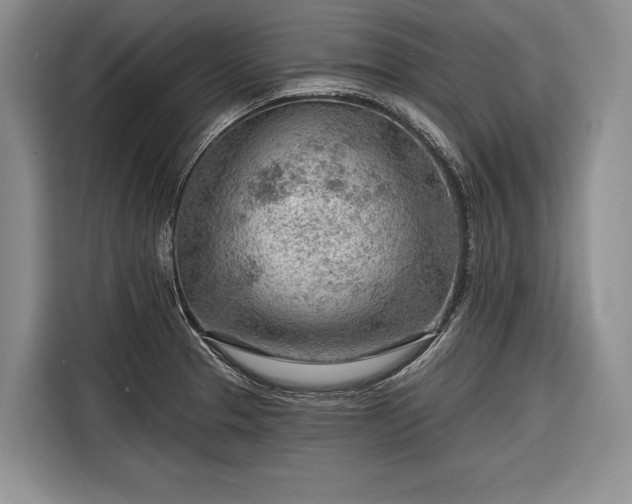 X0000116671329200912211556