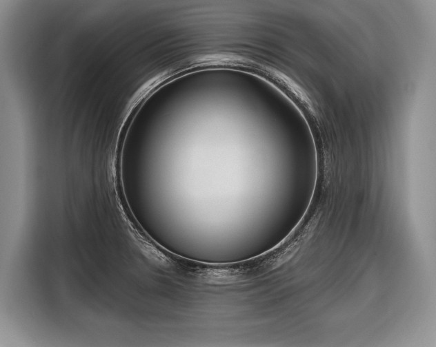 X0000116671330200912211556