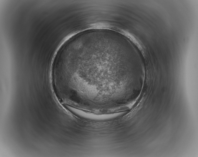 X0000116671331200912211556