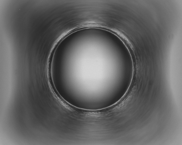 X0000116671333200912211556