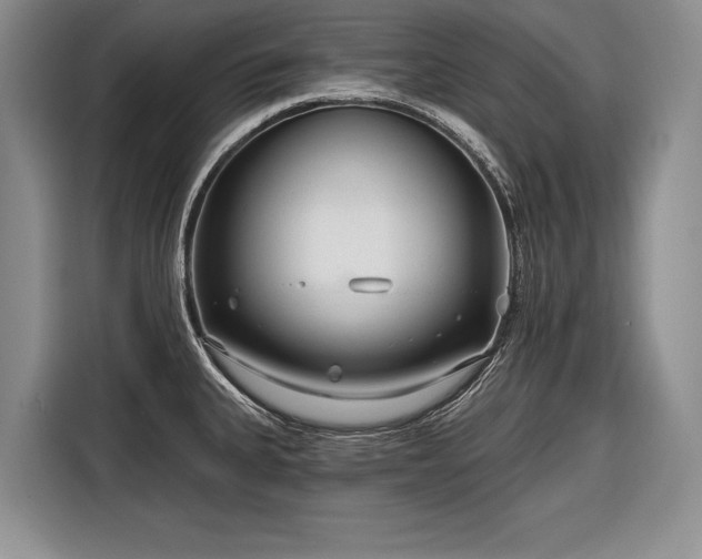 X0000116671335200912211556