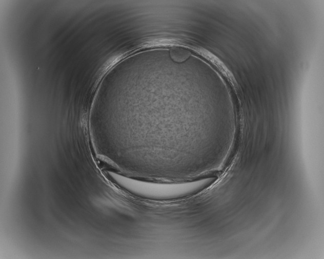 X0000116671337200912211556