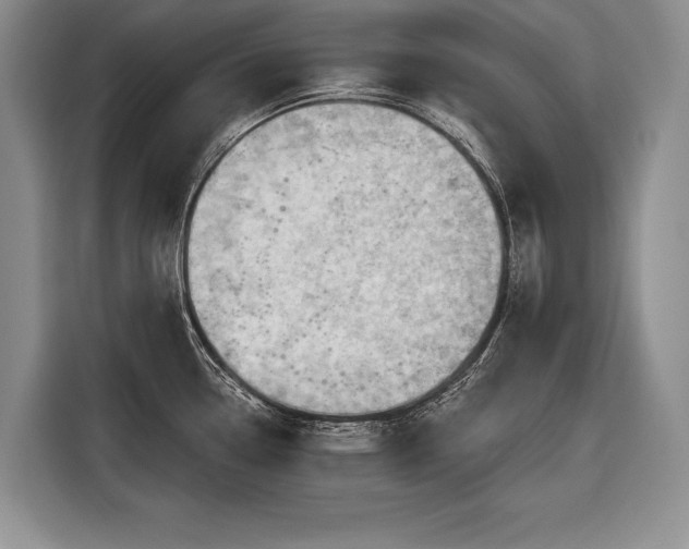 X0000116671338200912211556