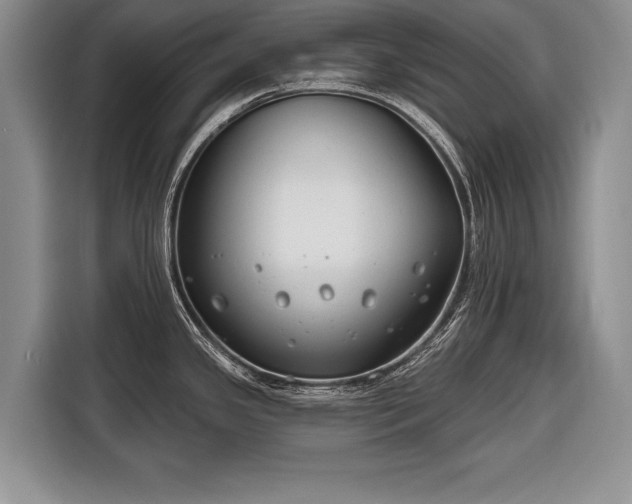 X0000116671341200912211556