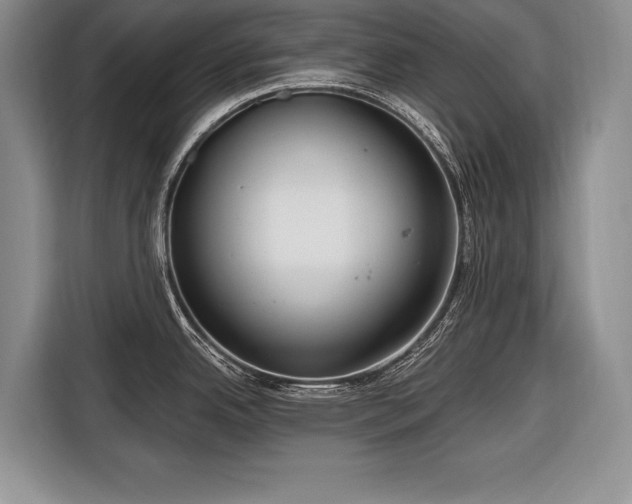 X0000116671342200912211556