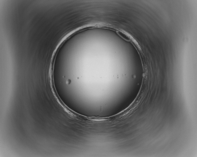 X0000116671343200912211556