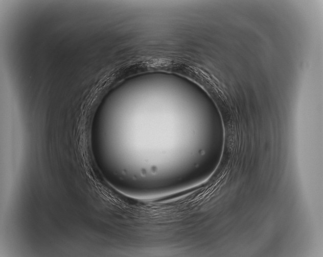 X0000116671345200912211555