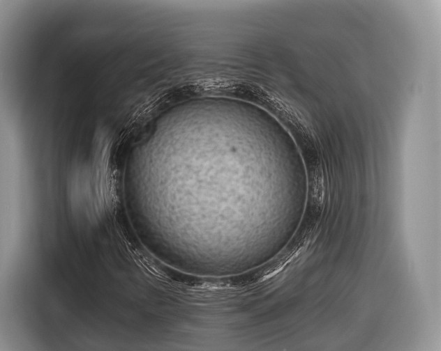 X0000116671346200912211555