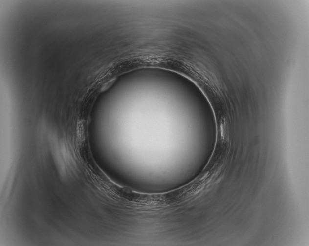 X0000116671347200912211555