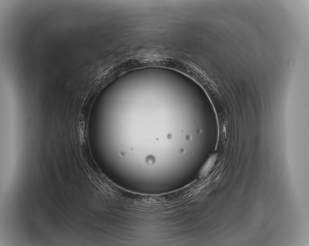 X0000116671348200912211555