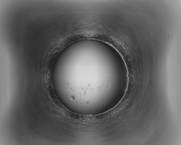 X0000116671349200912211555