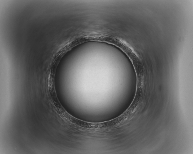 X0000116671350200912211555