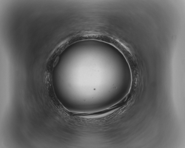 X0000116671351200912211555