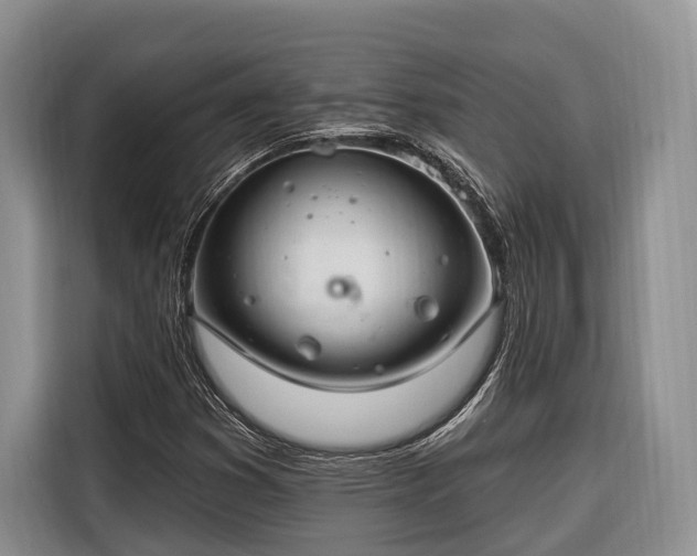 X0000116671353200912211555