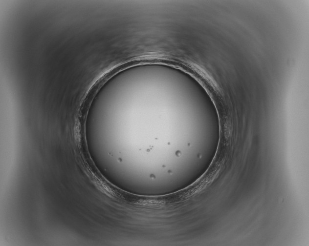 X0000116671356200912211555