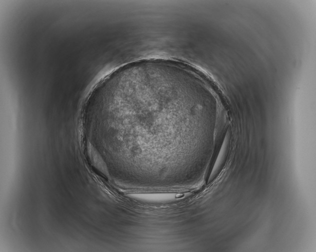 X0000116671359200912211555