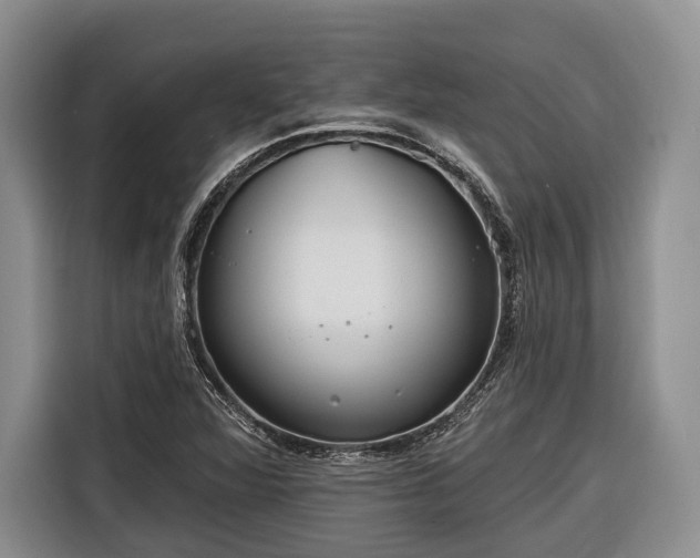 X0000116671360200912211555