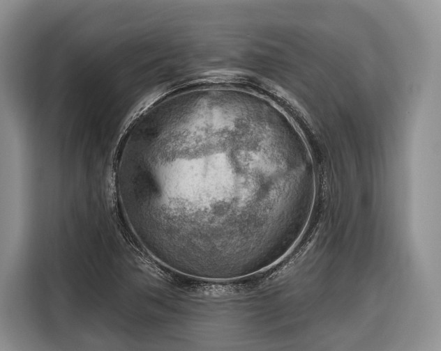 X0000116671362200912211555