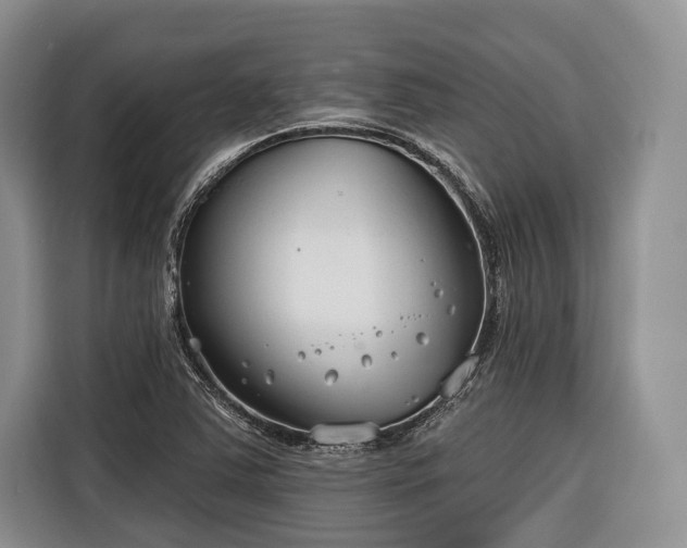 X0000116671363200912211555