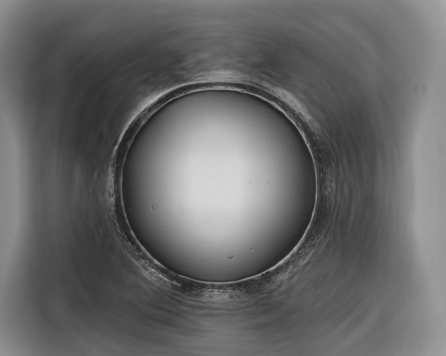 X0000116671364200912211555