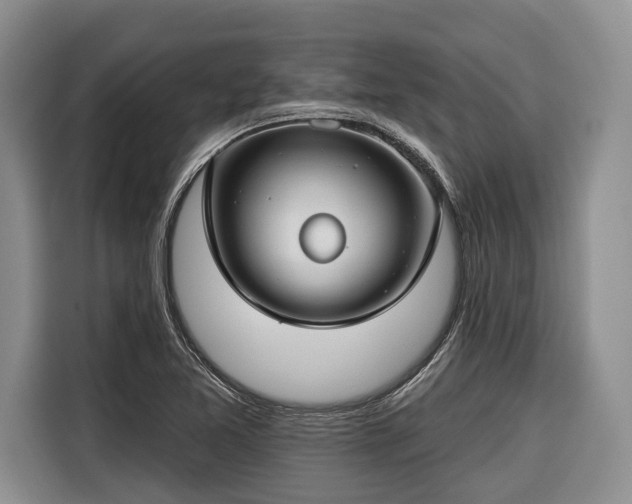 X0000116671365200912211555