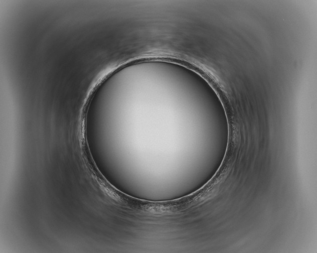 X0000116671366200912211555