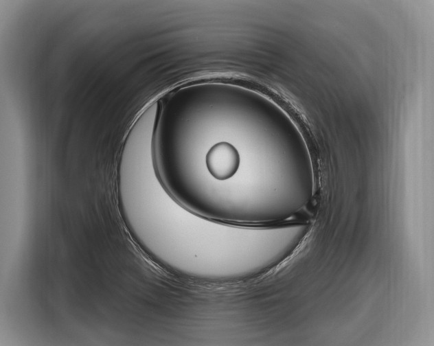 X0000116671369200912211555