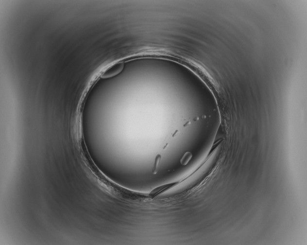 X0000116671371200912211555