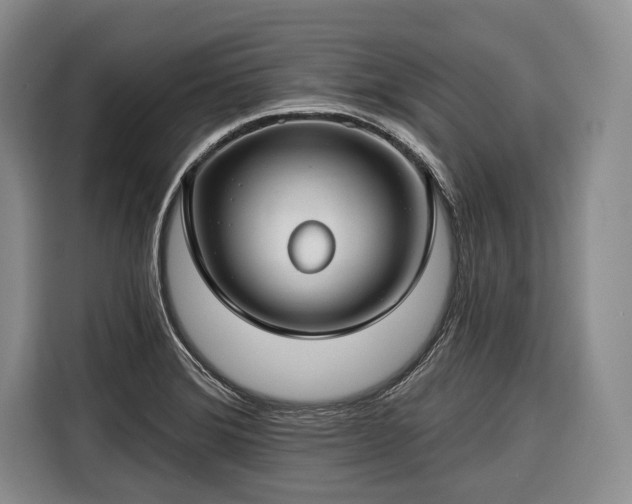 X0000116671372200912211555